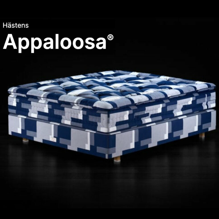 appaloosa.jpg